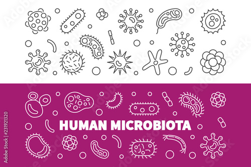 Set of 2 Human microbiota line banners. Vector illustration