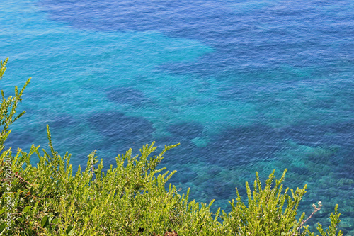 Fototapeta Naklejka Na Ścianę i Meble -  Crystal clear turquoise blue sea water surface texture with trees vegetation