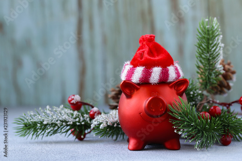 funny red pig - a symbol of the new year