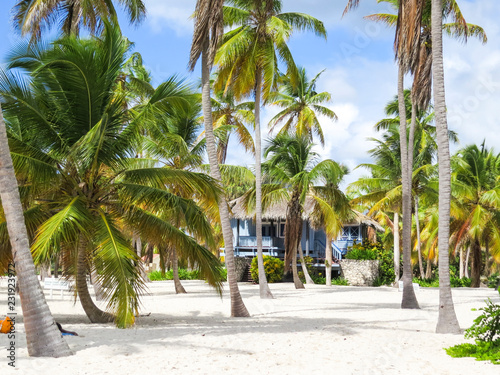 La Romana, Dominican Republic - Beautifull Beach house with tropical palms and white sand of a typical tropical island of the caribbean