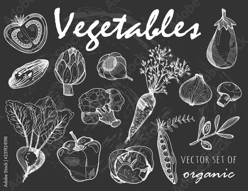Hand drawn graphic vegetables. Chalk style vector set