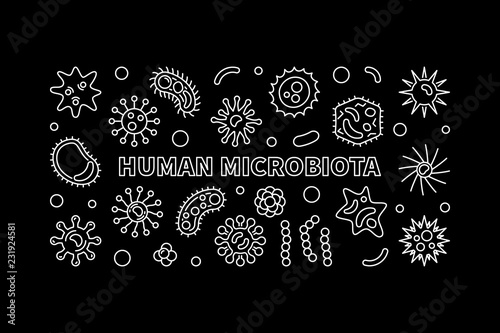Human microbiota horizontal banner - vector outline illustration