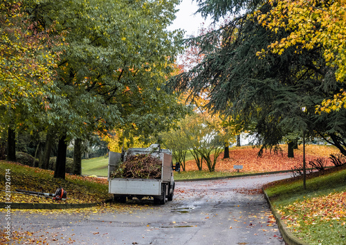 a maintenance truck loaded with brushwood in a park in the autumn period