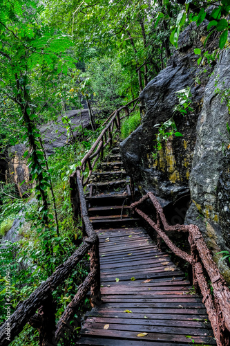 wooden bridge with wood railing cross over in the forest