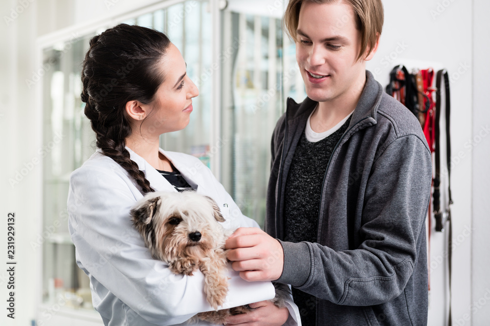 Happy female veterinarian carrying sick puppy in hospital Happy female veterinarian carrying sick puppy in hospital