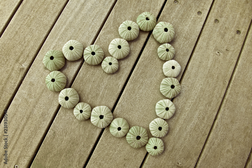 Sea urchins, love