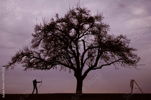 Bogenschütze vor einem Baum