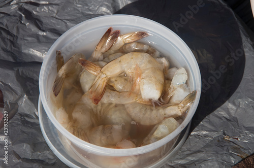 Fishing with Shrimp as Bait photo