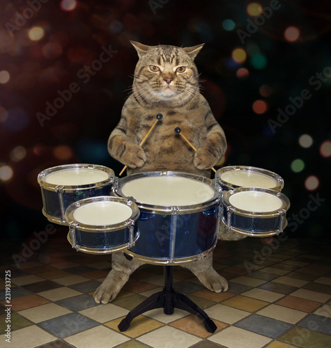The cat musician plays the drums on the stage.