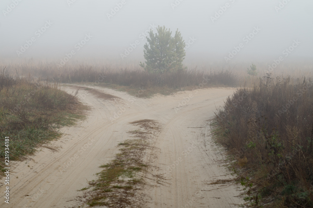 Crossroads of forest dirt roads in fog Crossroads of forest dirt roads in fog