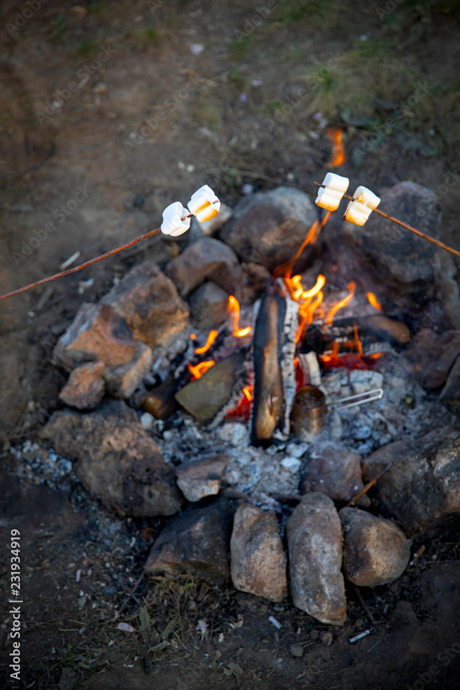 Cooking marshmallow on sticks on a fire. Cooking marshmallow on sticks on a fire.