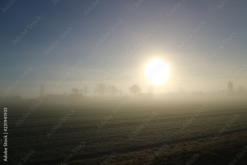 Fields and trees in the fog on the sunset, Latvia