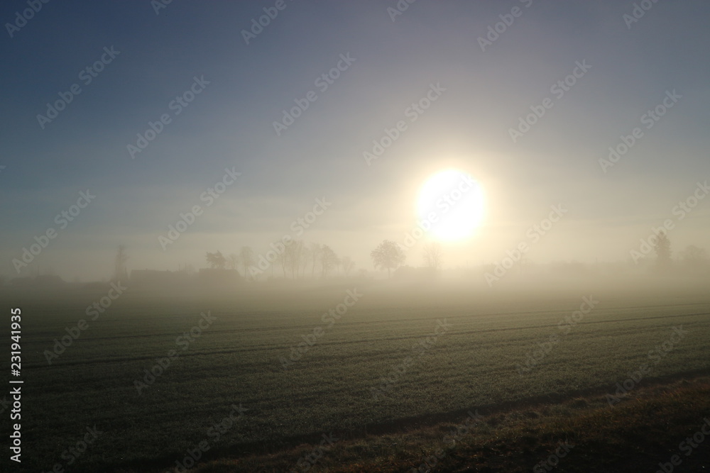 Fields and trees in the fog on the sunset, Latvia Fields and trees in the fog on the sunset, Latvia