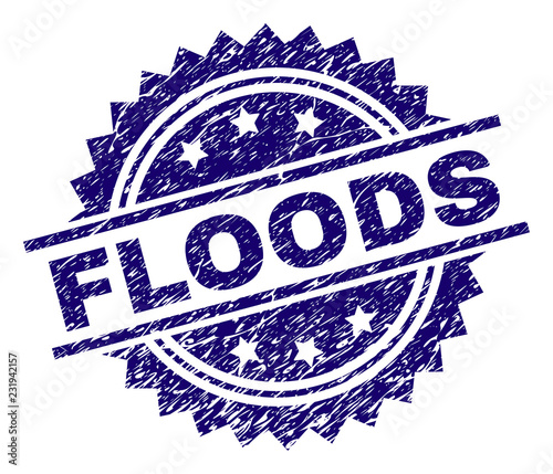 FLOODS stamp seal watermark with distress style. Blue vector rubber print of FLOODS caption with corroded texture.