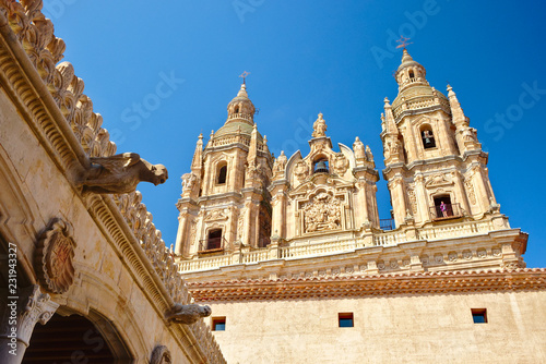 Salamanca, towers of the Pontifical University