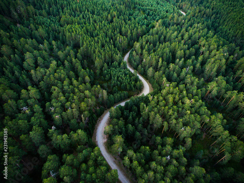 Aerial view from drone, of curved mountain road between woods.