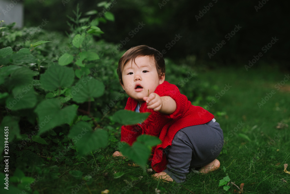 Baby playing with leaves in grass Baby playing with leaves in grass