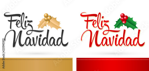 Feliz Navidad, Merry Christmas spanish translation, Vector set Card template