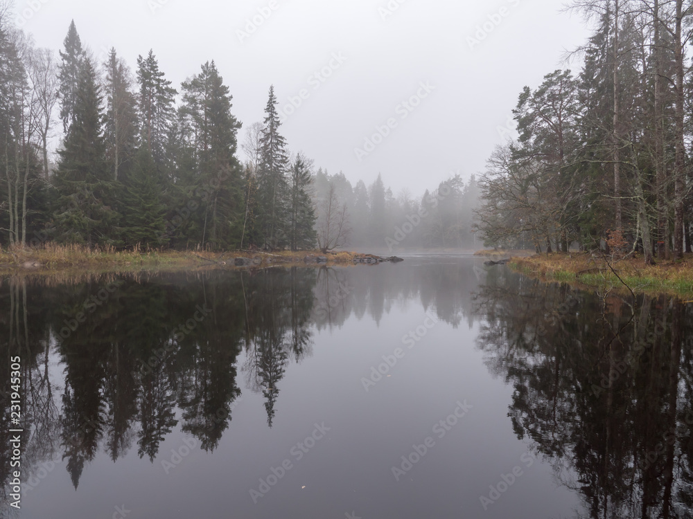 Fototapeta premium reflection of trees in lake