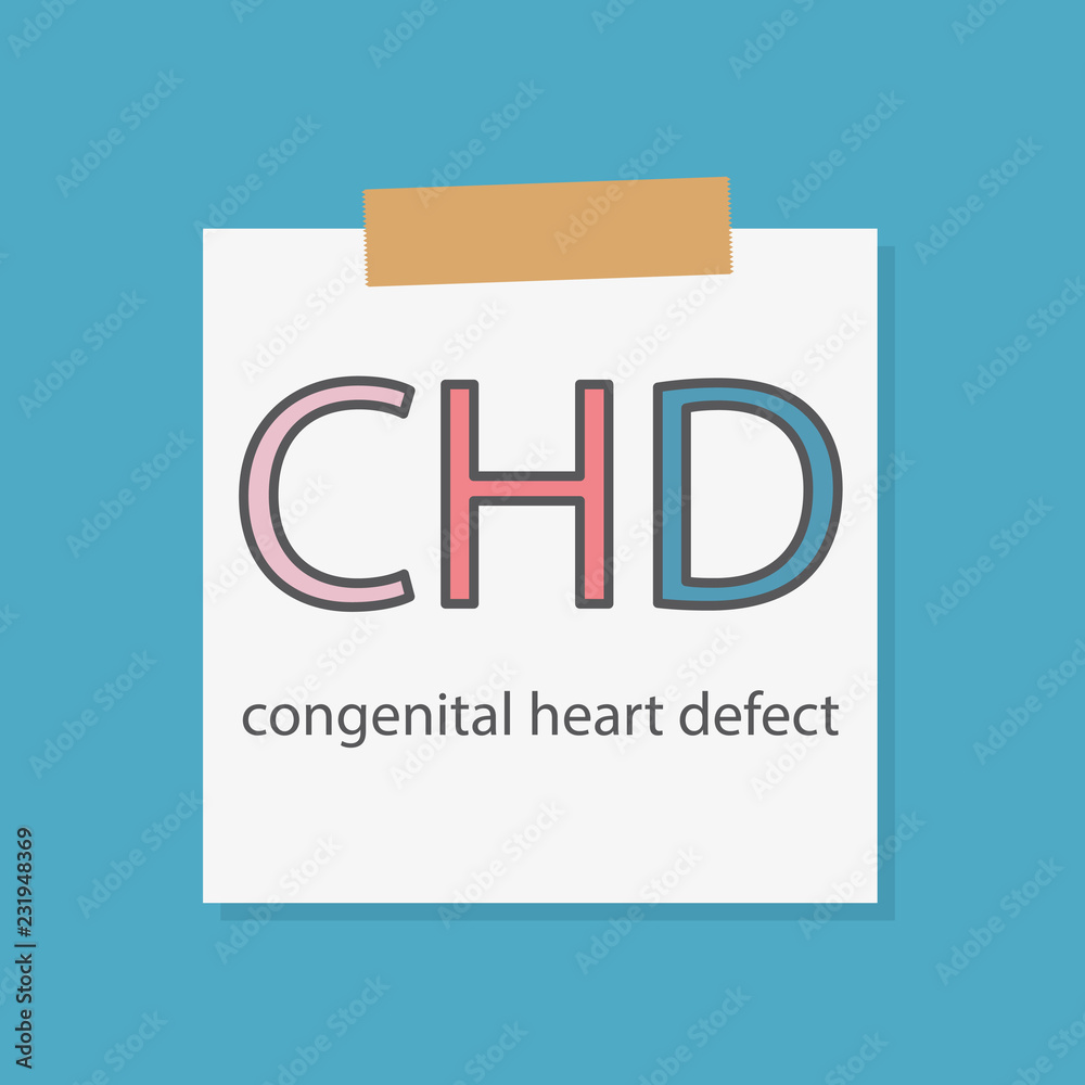 CHD Congenital heart defect written in a notebook paper- vector illustration CHD Congenital heart defect written in a notebook paper- vector illustration
