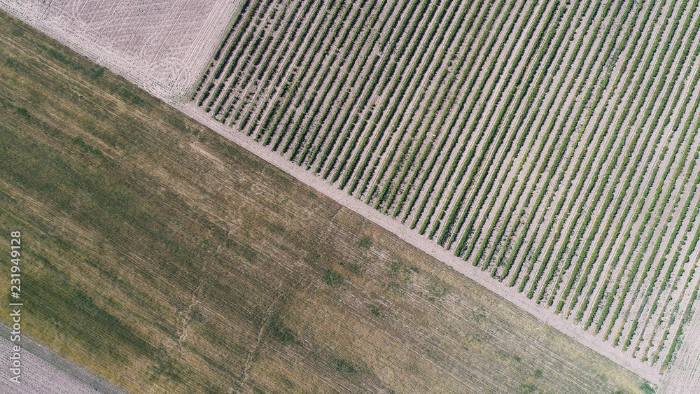 Aerial view of the plowed field