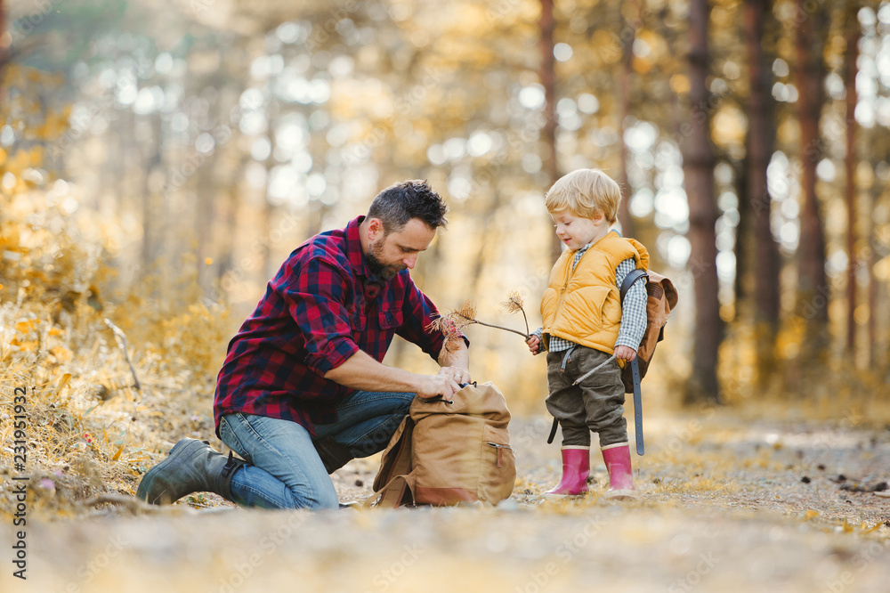 A mature father with backpack and toddler son in an autumn forest. A mature father with backpack and toddler son in an autumn forest.