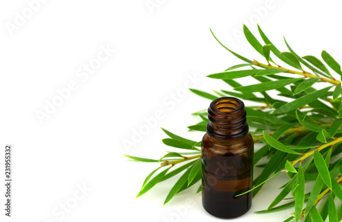 Tea Tree Essential Oil (Melaleuca) with Branch and Leaves. Isolated on White Background, with added Space for Sign, Text or Logotype.