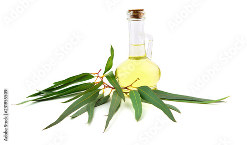Eucalyptus Essential Extract Oil with Branch and Leaves. Isolated on White Background.