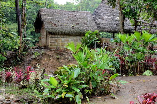 Viviendas de aborigenes Kapawi en Amazonas, Ecduador photo