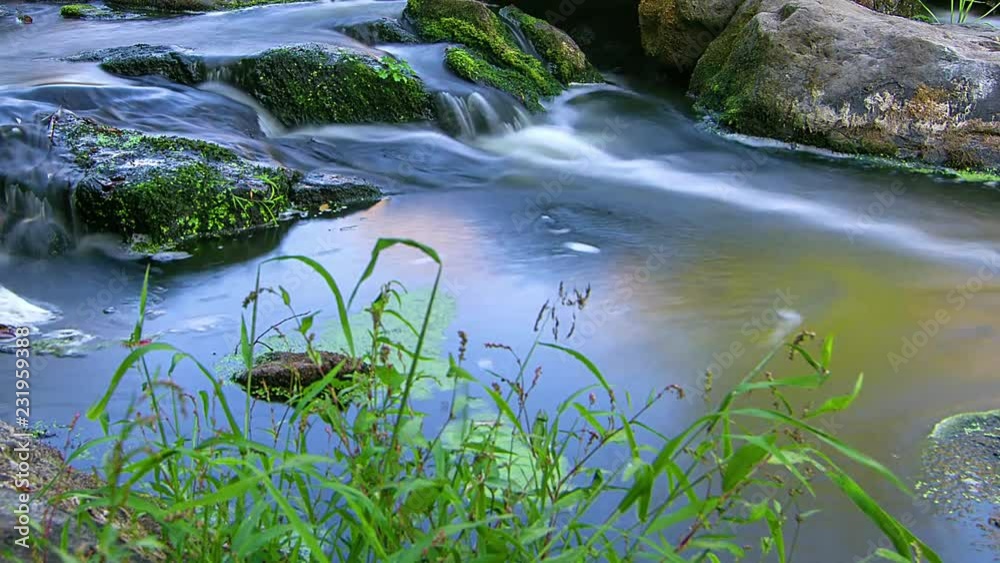 forest stream time lapse, Stream Water and Green Mossy Rocks, mountain stream time lapse 4K, Moss On The Rocks Forest Stream, Forest river, Water runs quickly through the rapids forest stream time lapse, Stream Water and Green Mossy Rocks, mountain stream time lapse 4K, Moss On The Rocks Forest Stream, Forest river, Water runs quickly through the rapids