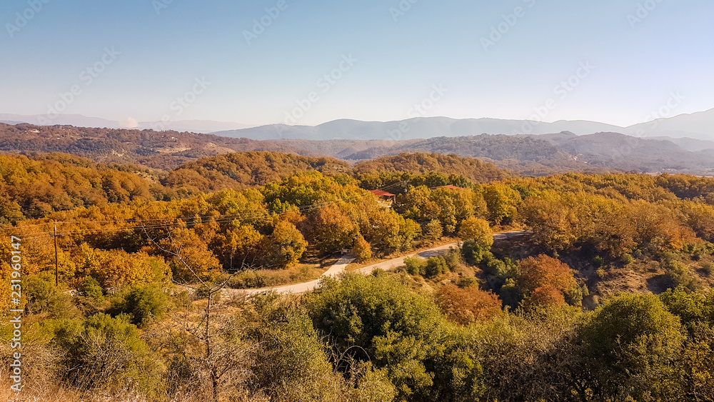 bench benches and  autumn forest in Leptokarya Thesrpotias