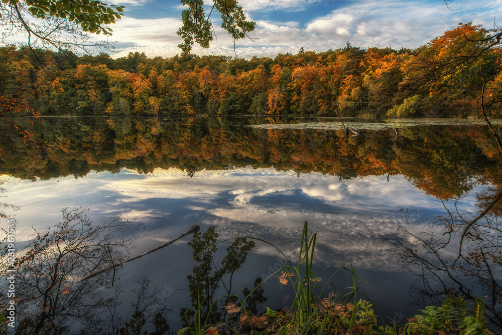 Fototapeta premium In autumn, nature paints the leaves colorful and enchants with so many colors. It is especially nice when the whole thing is still reflected in the water. Concept: recreation or autumn