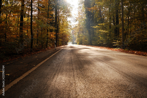 Herbstliche Landstraße