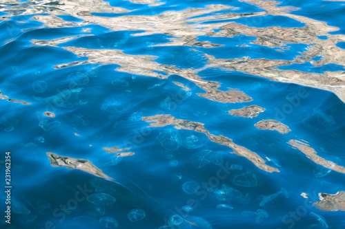 many jellyfish in the blue sea. top view above water