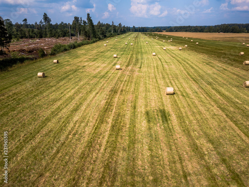 Aerial Drone Photo of Hay Rolls in the Wheat Field, Surrounded with Forests
