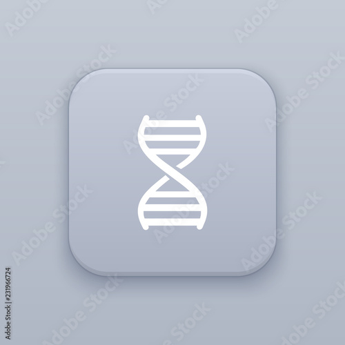 DNA, genetic button, best vector