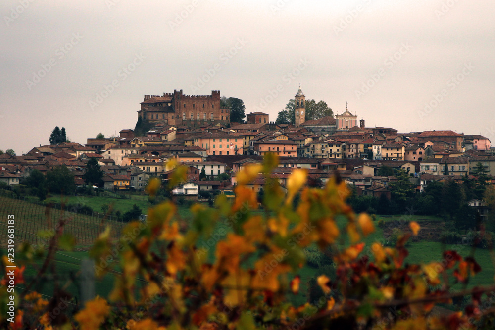 The town of Montemagno with the castle and his vineyards (Asti area, Monferrato, Piedmont, Northern Italy)