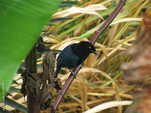 La Palma, El Salvador