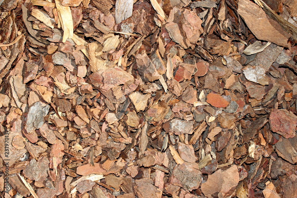 Garden wood chips bark pieces detail close up