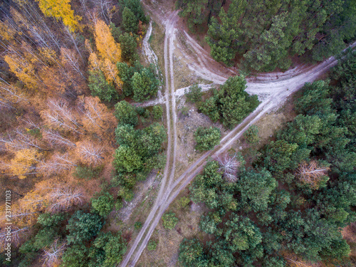 autumn forest, road in the forest, view from above © vadim_fl