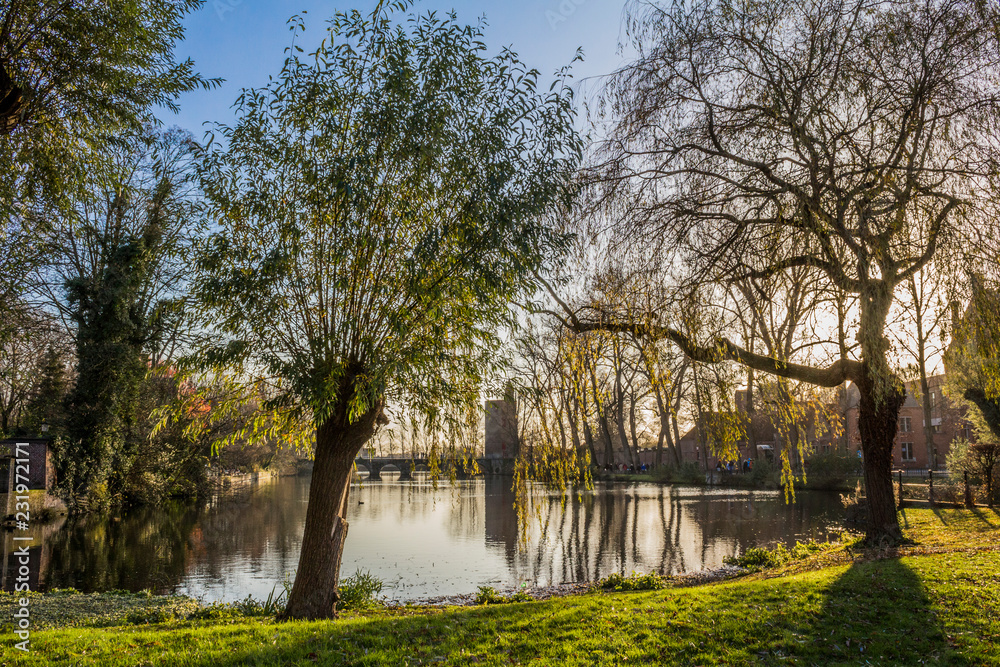 Trees and green grass on the shore of the Minnewater lake against a blue sky, lovers bridge in the background, reflection in the water surface, sunny winter day in Bruges, West-Vlaanderen, Belgium Trees and green grass on the shore of the Minnewater lake against a blue sky, lovers bridge in the background, reflection in the water surface, sunny winter day in Bruges, West-Vlaanderen, Belgium