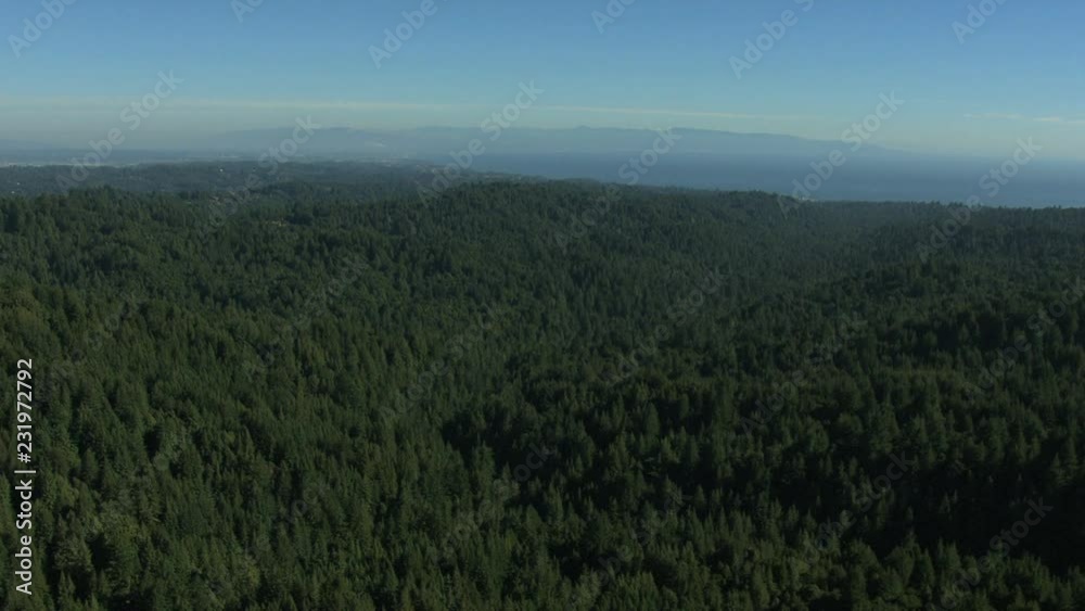 Aerial California USA land forest fir hills nature daylight Aerial California USA land forest fir hills nature daylight