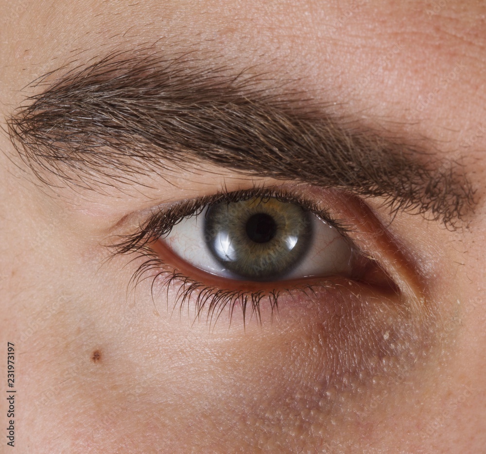 Obraz premium close up of human eye green 