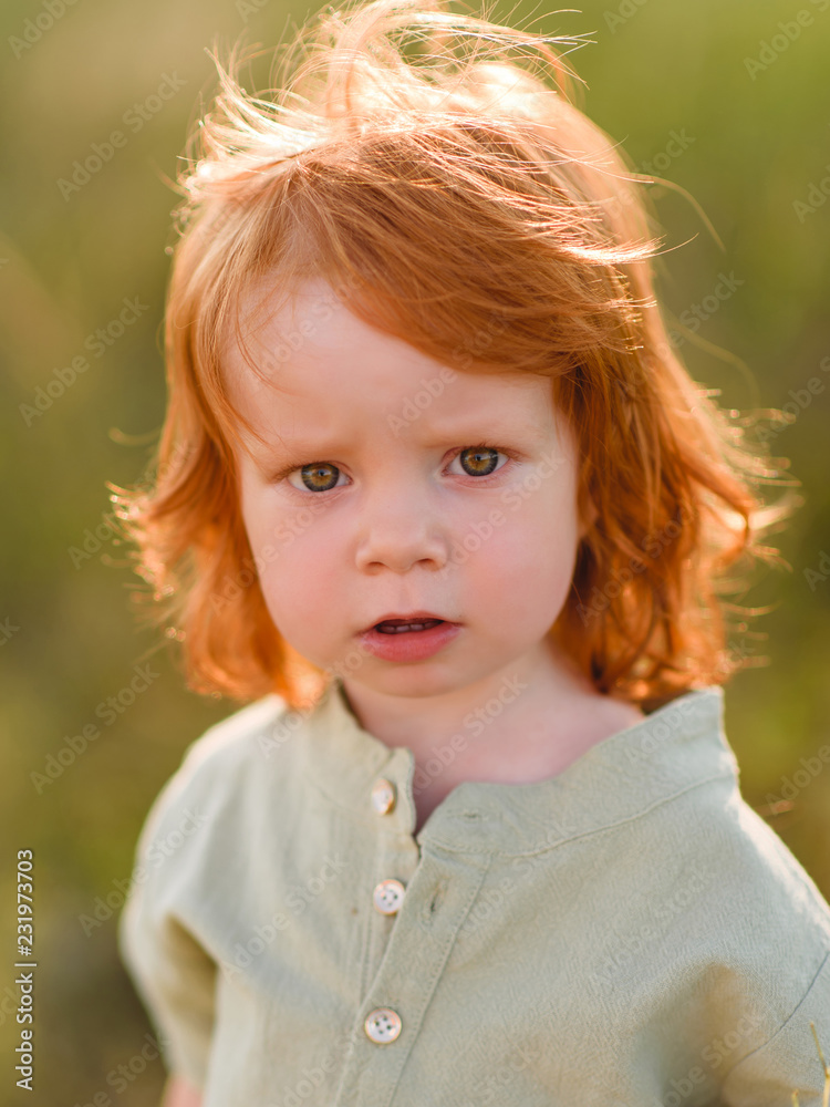 portrait of a little boy in nature portrait of a little boy in nature