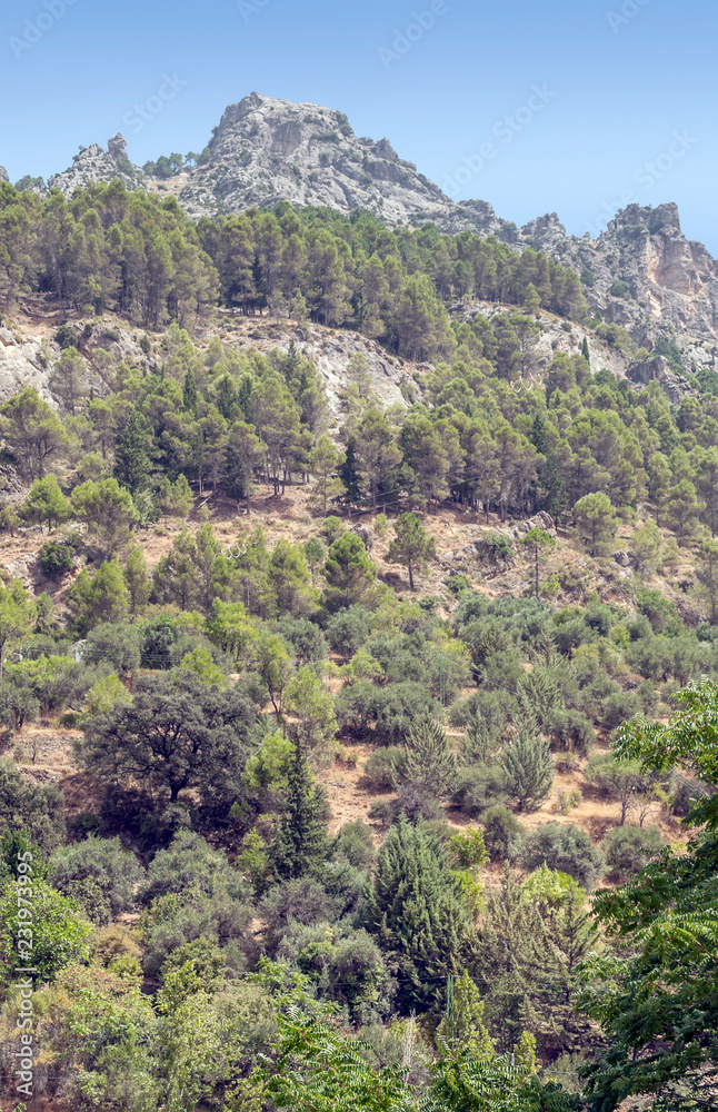 Mountains of Sierra de Cazorla in Andalusia