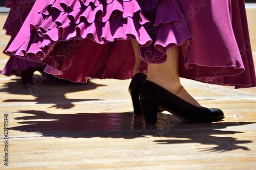 Flamenco dancers legs