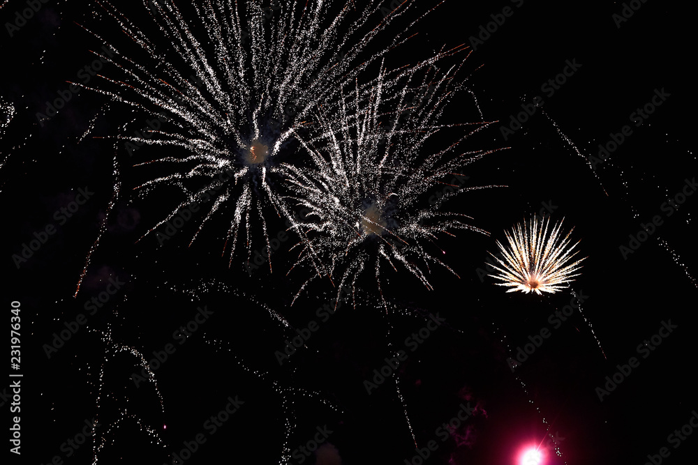 Obraz premium Fireworks in the night sky. Texture salute. Abstract photo of flares on a black background. Photos of lights salute in the sky. Image of salute flashes. Texture of colored lights.