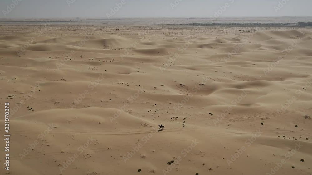 Aerial view of one person riding horse in the desert of Al Khatim in Abu Dhabi. U.A.E. Aerial view of one person riding horse in the desert of Al Khatim in Abu Dhabi. U.A.E.