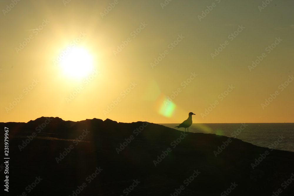 A new day is born for the world A new day is born for the world