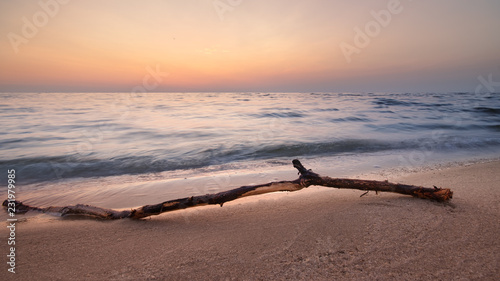 log lying on the shore of an abandoned beach   troubled water dawn morning